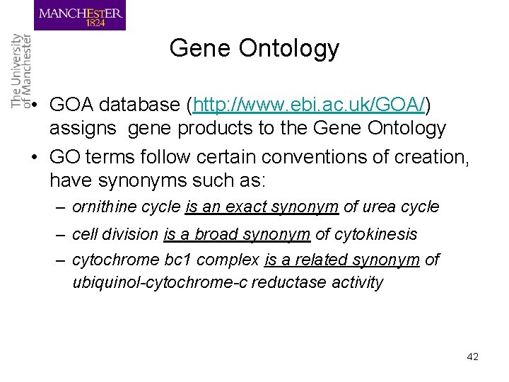 Gene Ontology • GOA database (http: //www. ebi. ac. uk/GOA/) assigns gene products to