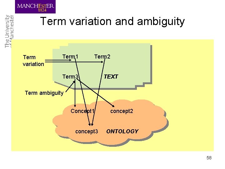 Term variation and ambiguity Term variation Term 1 Term 2 Term 3 TEXT Term
