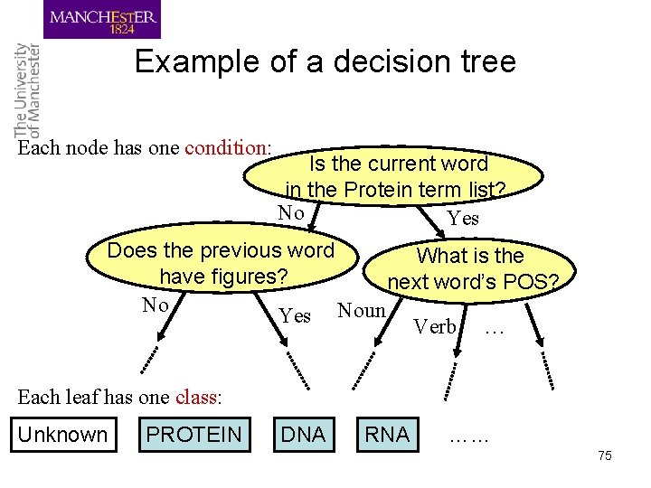 Example of a decision tree Each node has one condition: Is the current word