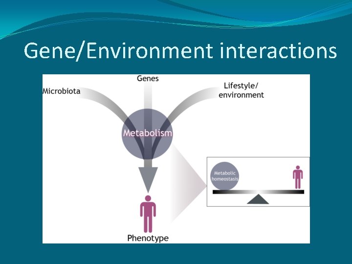 Gene/Environment interactions 