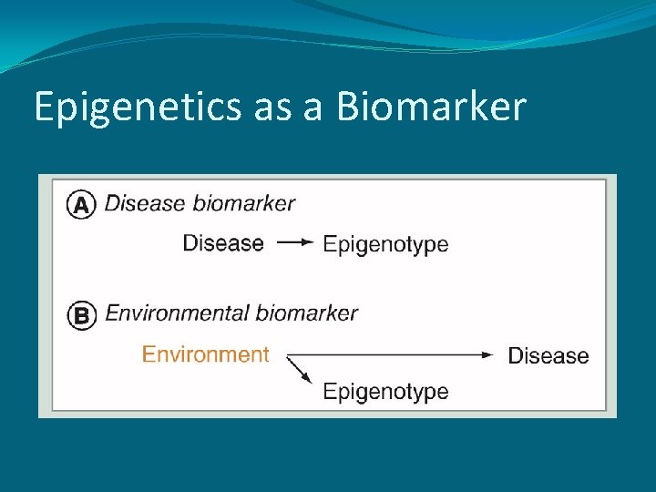 Epigenetics as a Biomarker 