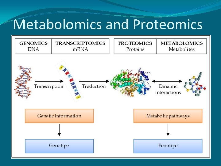 Metabolomics and Proteomics 