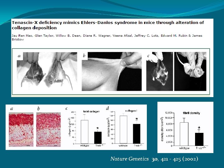 Nature Genetics 30, 421 - 425 (2002) 