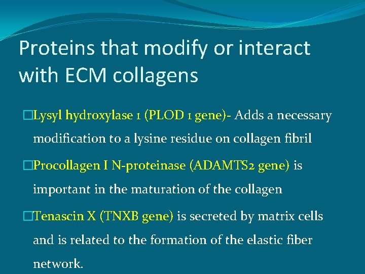 Proteins that modify or interact with ECM collagens �Lysyl hydroxylase 1 (PLOD 1 gene)-