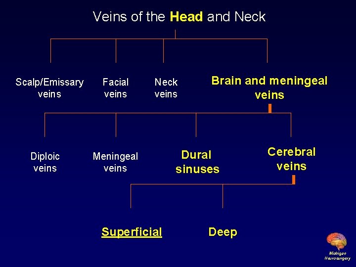 Veins of the Head and Neck Scalp/Emissary veins Diploic veins Facial veins Neck veins