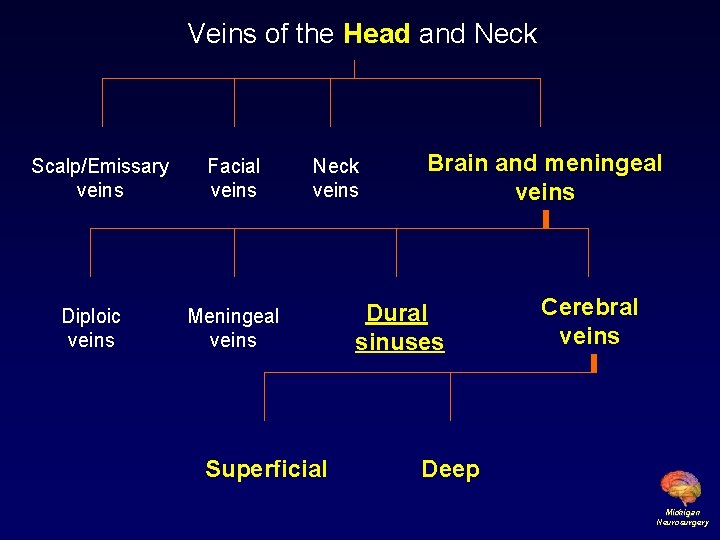 Veins of the Head and Neck Scalp/Emissary veins Diploic veins Facial veins Neck veins