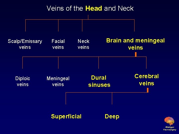 Veins of the Head and Neck Scalp/Emissary veins Diploic veins Facial veins Neck veins