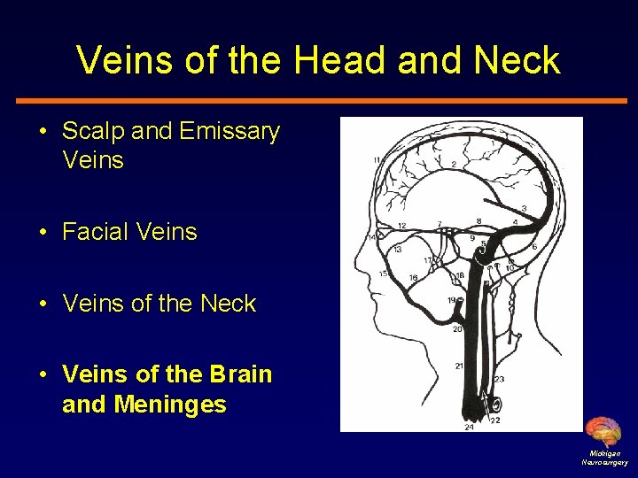 Veins of the Head and Neck • Scalp and Emissary Veins • Facial Veins