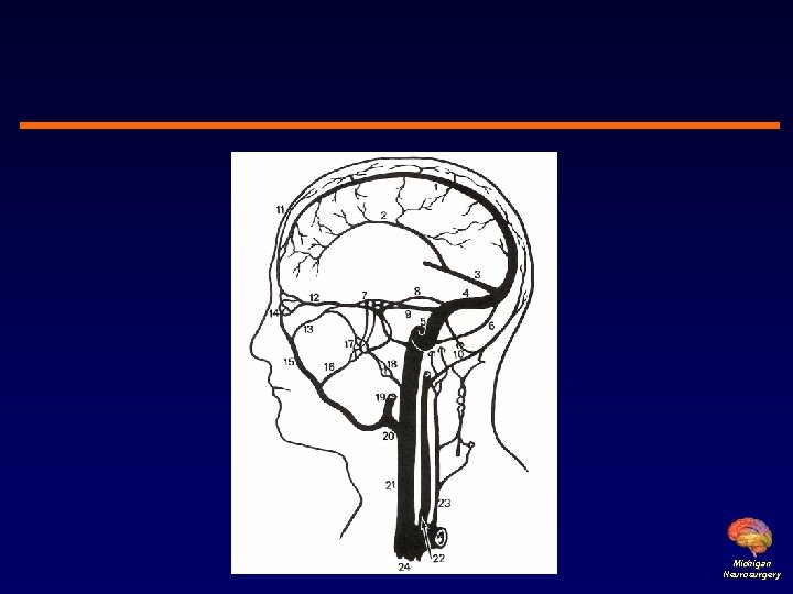 Michigan Neurosurgery 