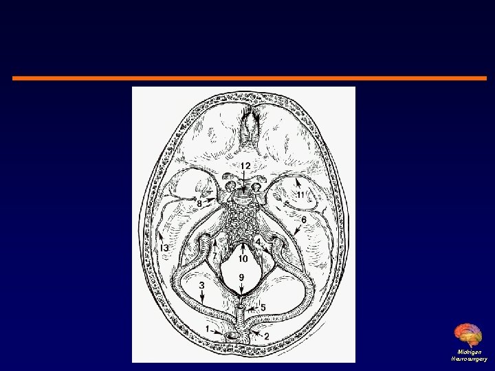 Michigan Neurosurgery 