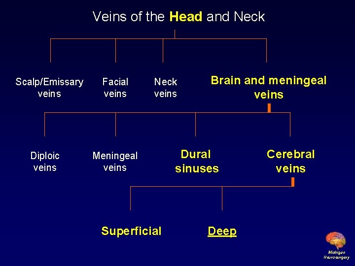 Veins of the Head and Neck Scalp/Emissary veins Diploic veins Facial veins Neck veins
