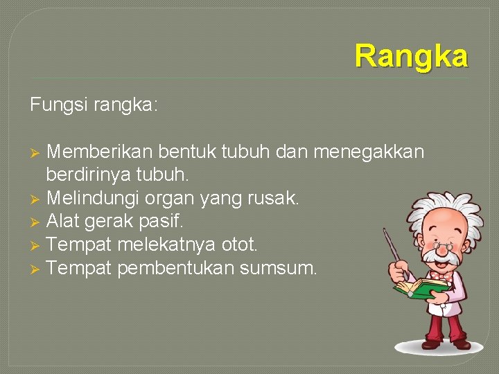 Rangka Fungsi rangka: Memberikan bentuk tubuh dan menegakkan berdirinya tubuh. Ø Melindungi organ yang