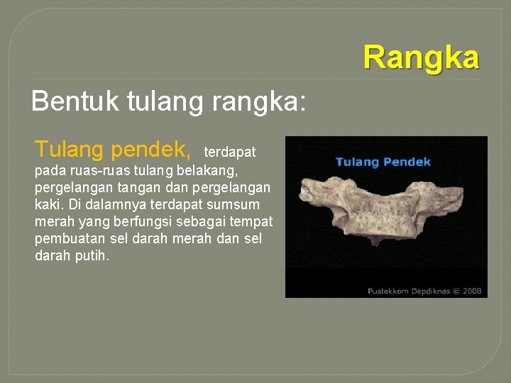Rangka Bentuk tulang rangka: Tulang pendek, terdapat pada ruas-ruas tulang belakang, pergelangan tangan dan