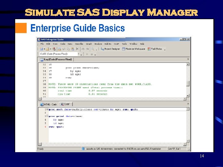 Simulate SAS Display Manager 14 