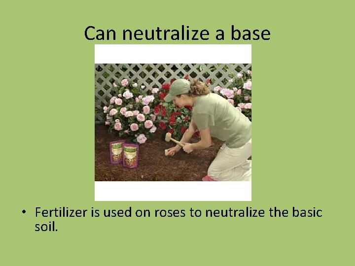 Can neutralize a base • Fertilizer is used on roses to neutralize the basic