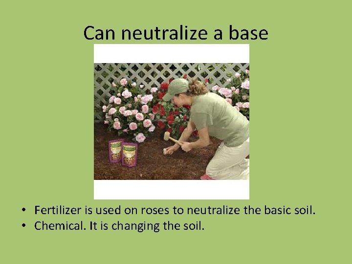 Can neutralize a base • Fertilizer is used on roses to neutralize the basic