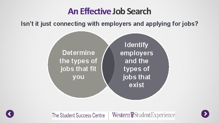 An Effective Job Search Isn’t it just connecting with employers and applying for jobs?