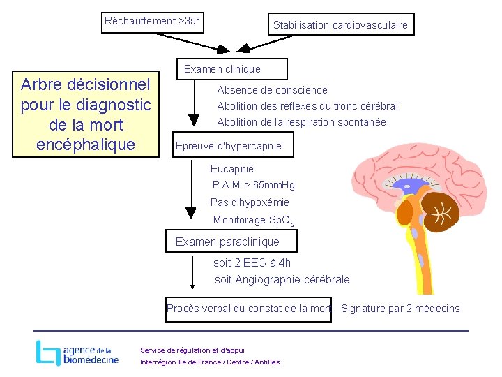 Réchauffement >35° Stabilisation cardiovasculaire Examen clinique Arbre décisionnel pour le diagnostic de la mort