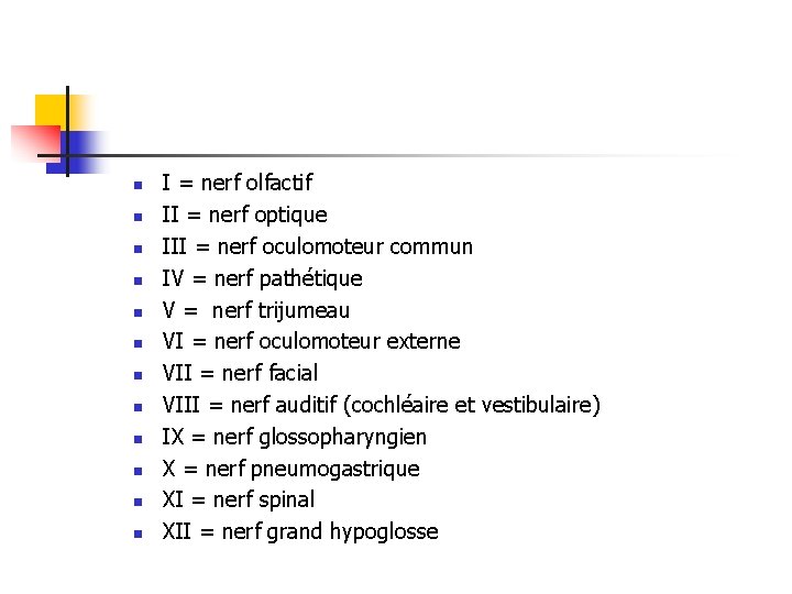 n n n I = nerf olfactif II = nerf optique III = nerf