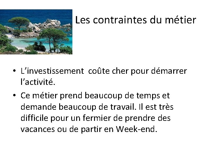 Les contraintes du métier • L’investissement coûte cher pour démarrer l’activité. • Ce métier