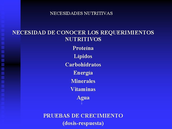 NECESIDADES NUTRITIVAS NECESIDAD DE CONOCER LOS REQUERIMIENTOS NUTRITIVOS Proteína Lípidos Carbohidratos Energía Minerales Vitaminas