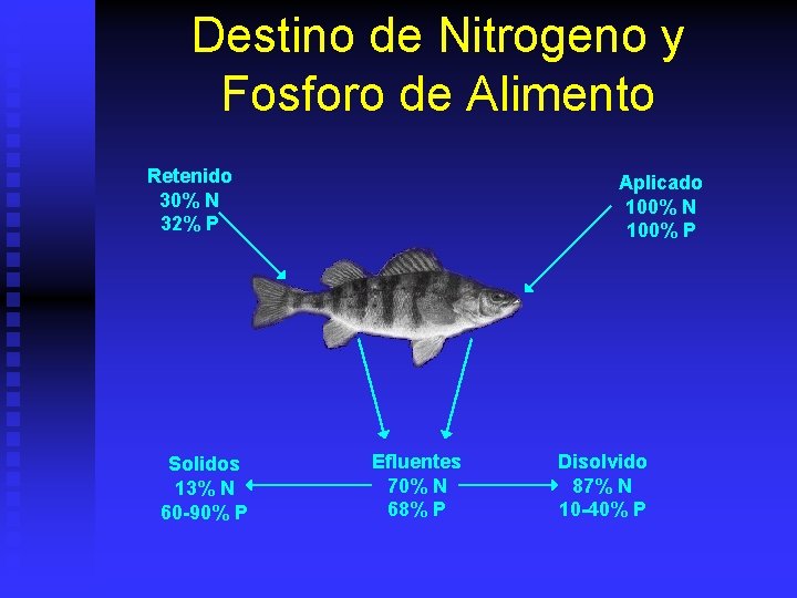 Destino de Nitrogeno y Fosforo de Alimento Retenido 30% N 32% P Solidos 13%