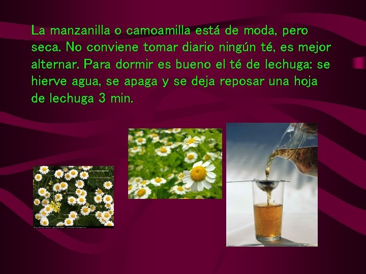 La manzanilla o camoamilla está de moda, pero seca. No conviene tomar diario ningún