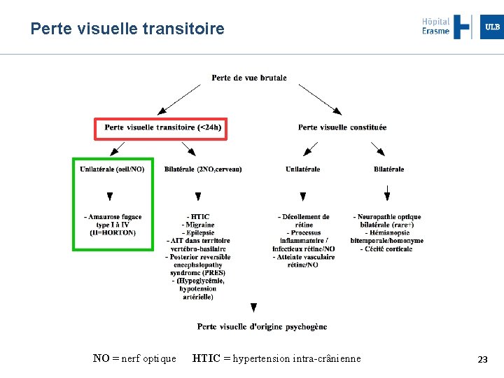 Perte visuelle transitoire NO = nerf optique HTIC = hypertension intra-crânienne 23 