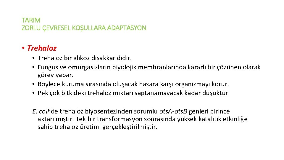 TARIM ZORLU ÇEVRESEL KOŞULLARA ADAPTASYON • Trehaloz bir glikoz disakkarididir. • Fungus ve omurgasızların