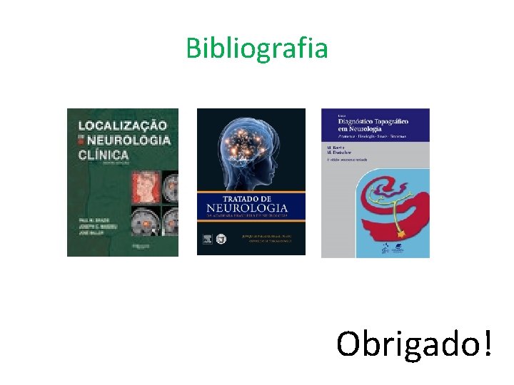 Bibliografia Obrigado! 