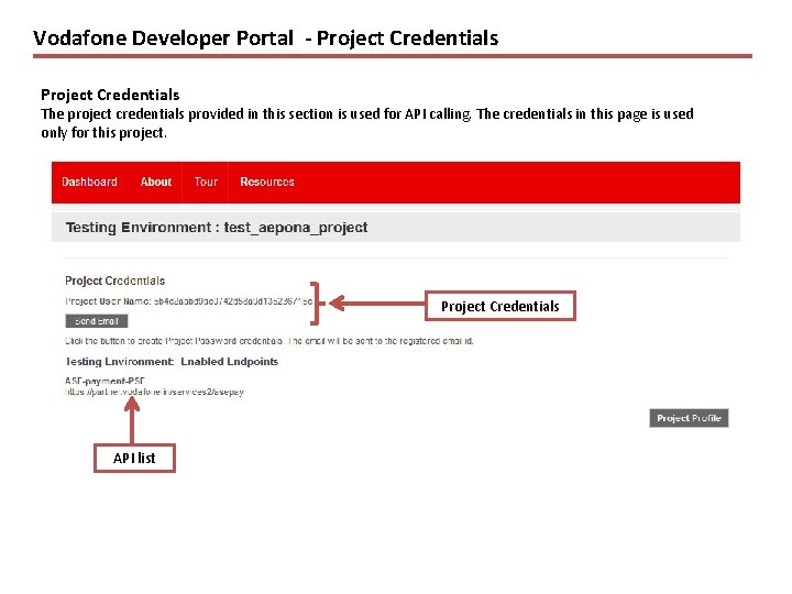 Vodafone Developer Portal - Project Credentials The project credentials provided in this section is