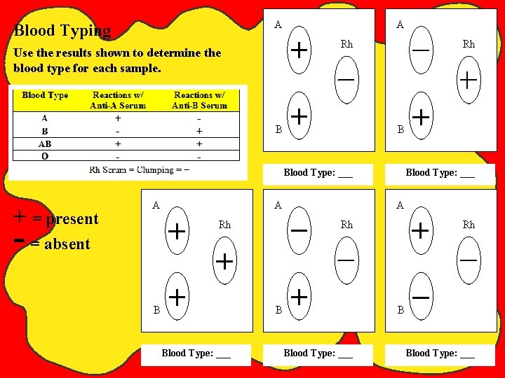 A Blood Typing A Rh Use the results shown to determine the blood type