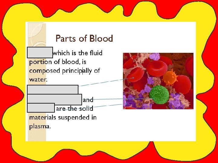 Parts of Blood 