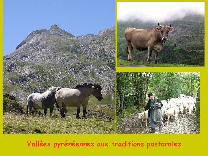 Vallées pyrénéennes aux traditions pastorales 