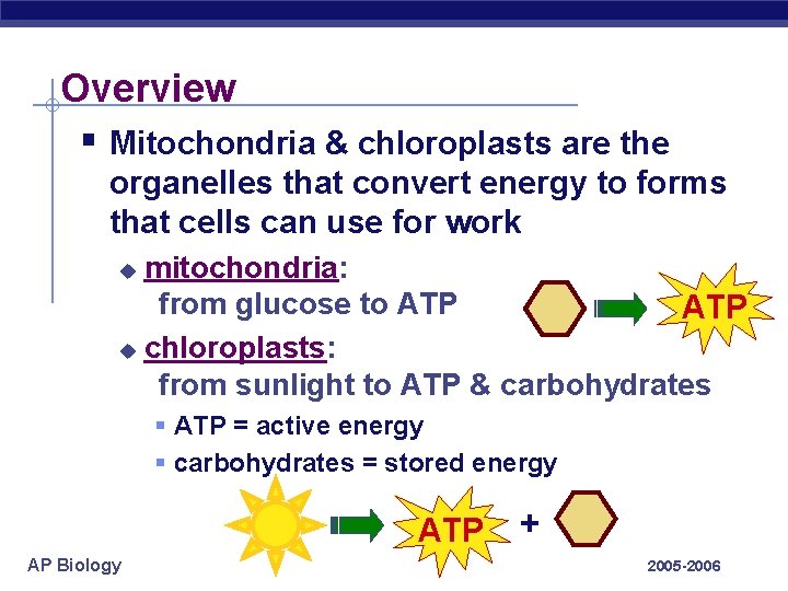 Overview § Mitochondria & chloroplasts are the organelles that convert energy to forms that