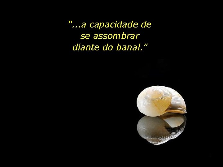 “. . . a capacidade de se assombrar diante do banal. ” 