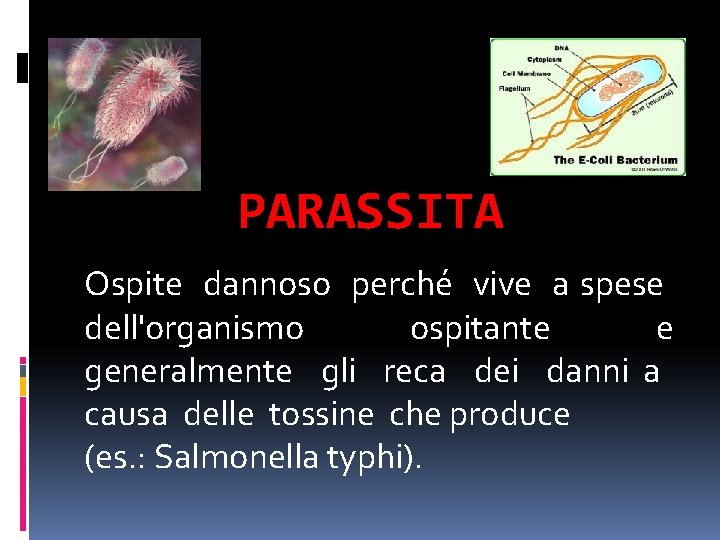 PARASSITA Ospite dannoso perché vive a spese dell'organismo ospitante e generalmente gli reca dei