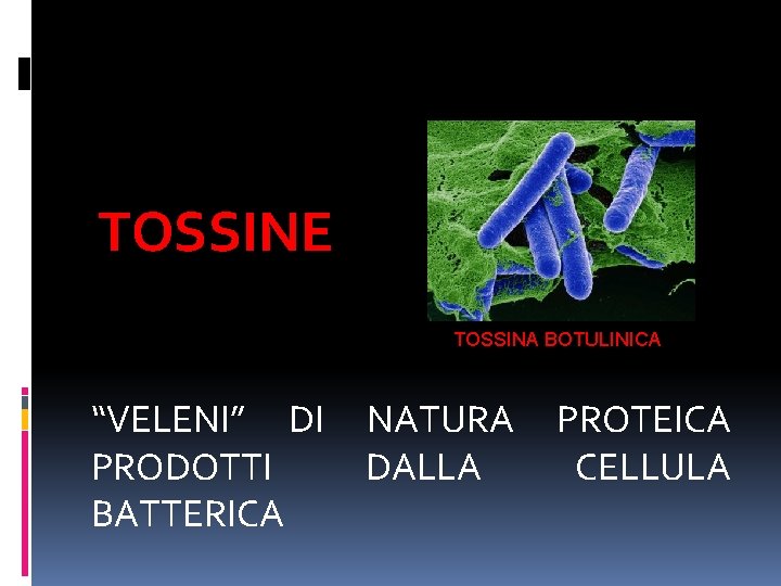 TOSSINE TOSSINA BOTULINICA “VELENI” DI NATURA PROTEICA PRODOTTI DALLA CELLULA BATTERICA 