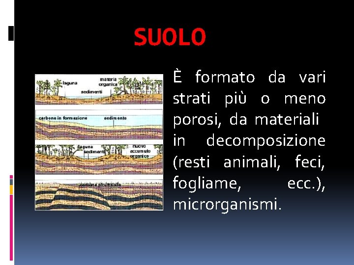 SUOLO È formato da vari strati più o meno porosi, da materiali in decomposizione