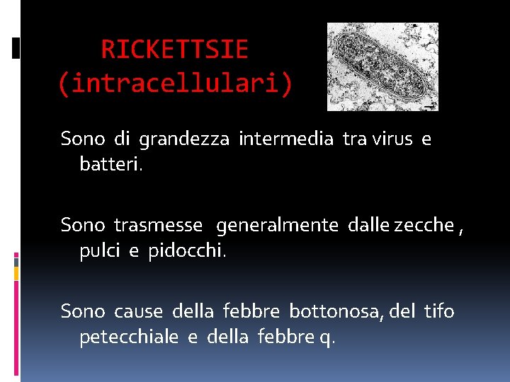 RICKETTSIE (intracellulari) Sono di grandezza intermedia tra virus e batteri. Sono trasmesse generalmente dalle