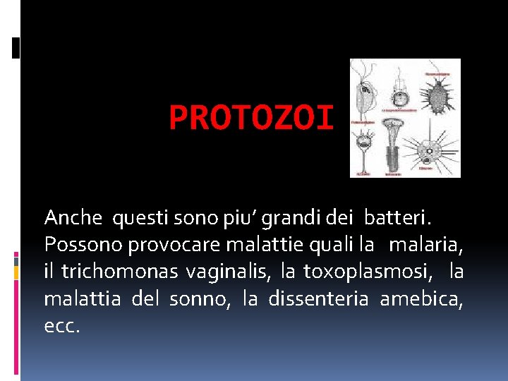 PROTOZOI Anche questi sono piu’ grandi dei batteri. Possono provocare malattie quali la malaria,