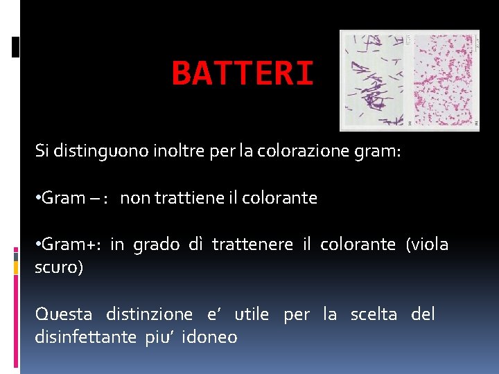 BATTERI Si distinguono inoltre per la colorazione gram: • Gram – : non trattiene