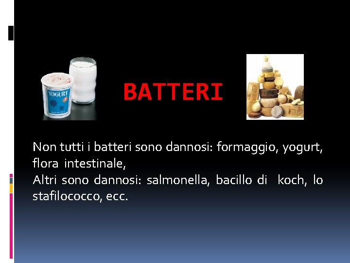 BATTERI Non tutti i batteri sono dannosi: formaggio, yogurt, flora intestinale, Altri sono dannosi: