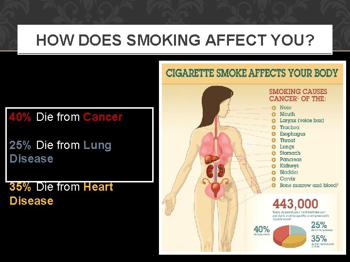 HOW DOES SMOKING AFFECT YOU? 40% Die from Cancer 25% Die from Lung Disease