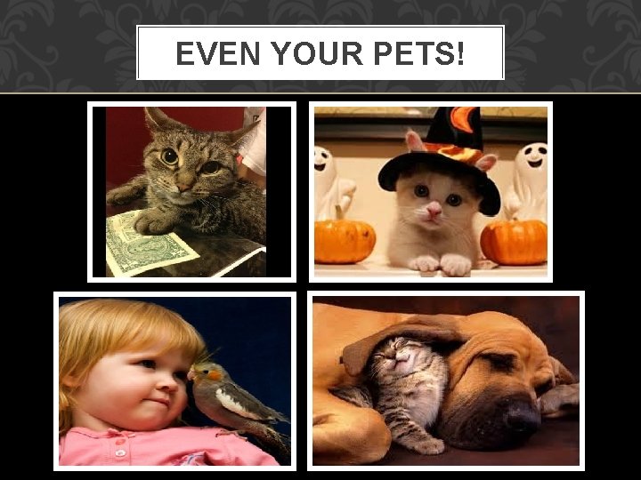 EVEN YOUR PETS! 