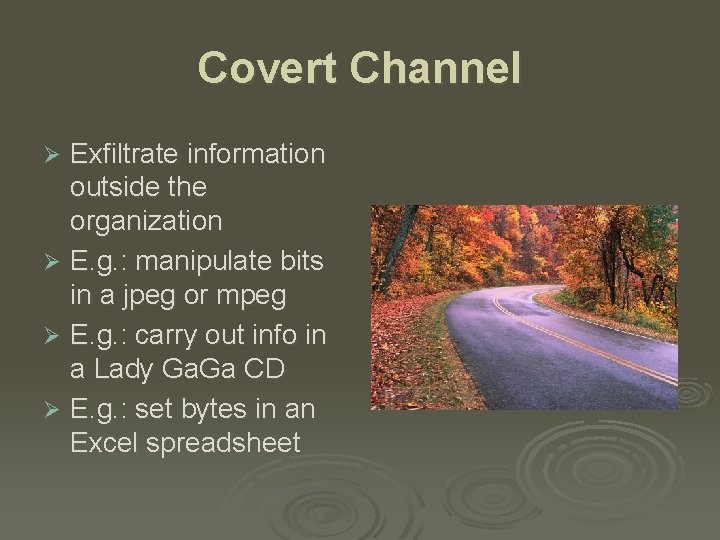 Covert Channel Exfiltrate information outside the organization Ø E. g. : manipulate bits in
