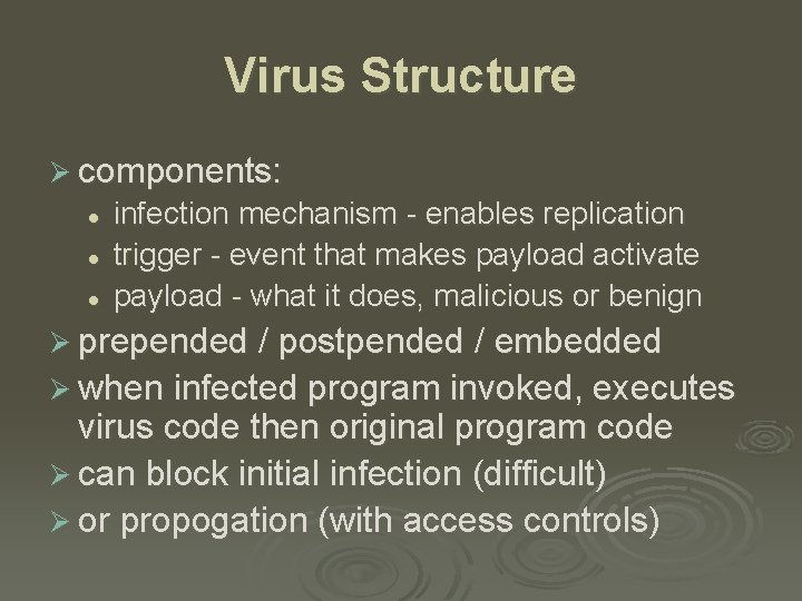 Virus Structure Ø components: l l l infection mechanism - enables replication trigger -