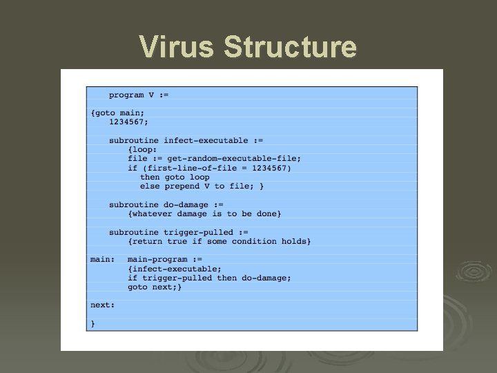 Virus Structure 