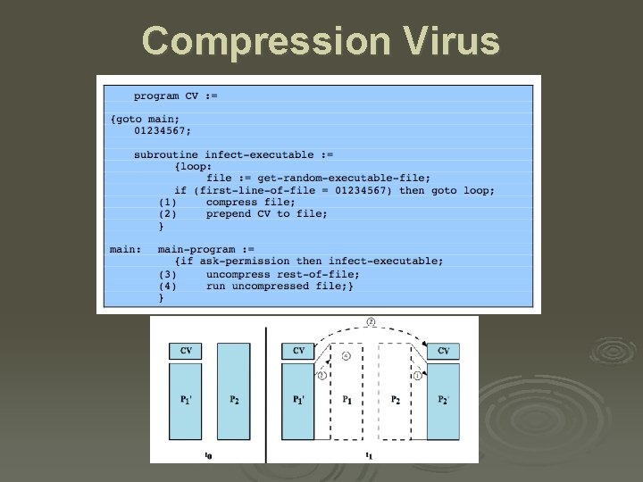 Compression Virus 