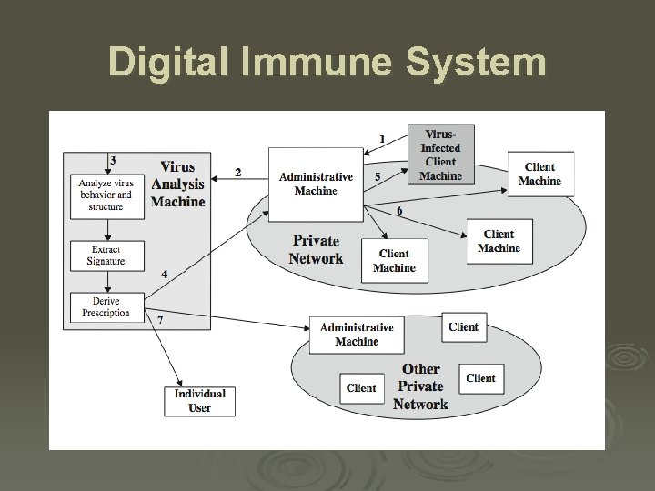 Digital Immune System 